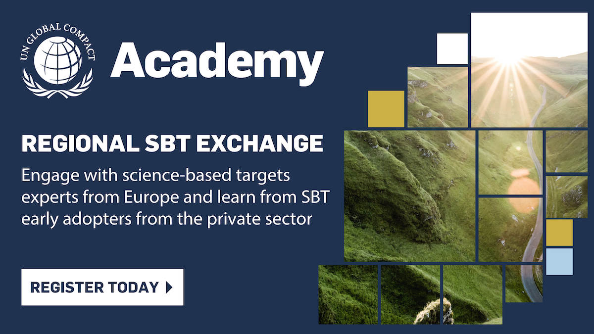 Attend this Q&A exchange for sector-specific discussion on setting science-based emissions targets.